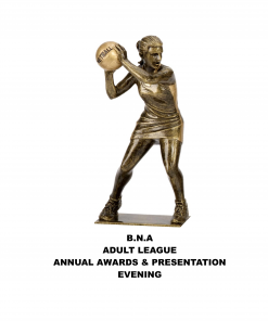 BNA Presentation Ticket